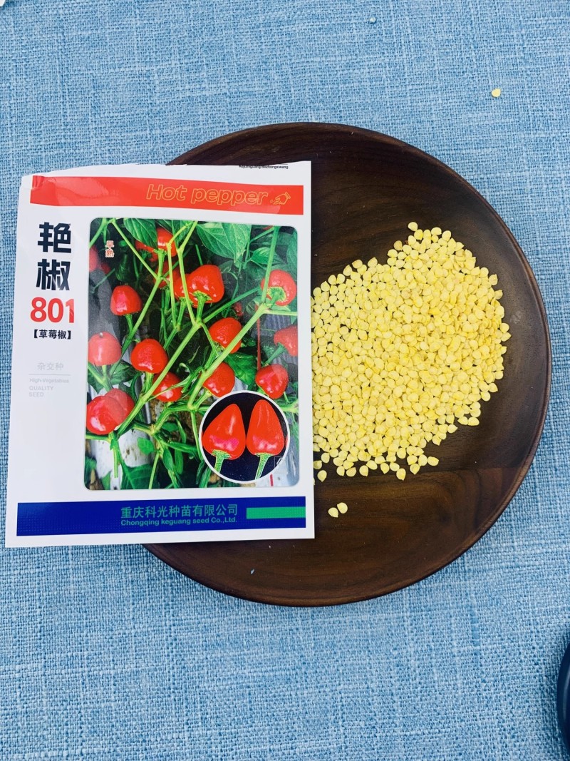 艳椒801草莓椒种子单生味中辣果面光滑挂果多
