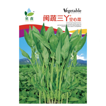 闽蔬三丫空心菜种子三叉空心菜种子梗粗旱地水地均可