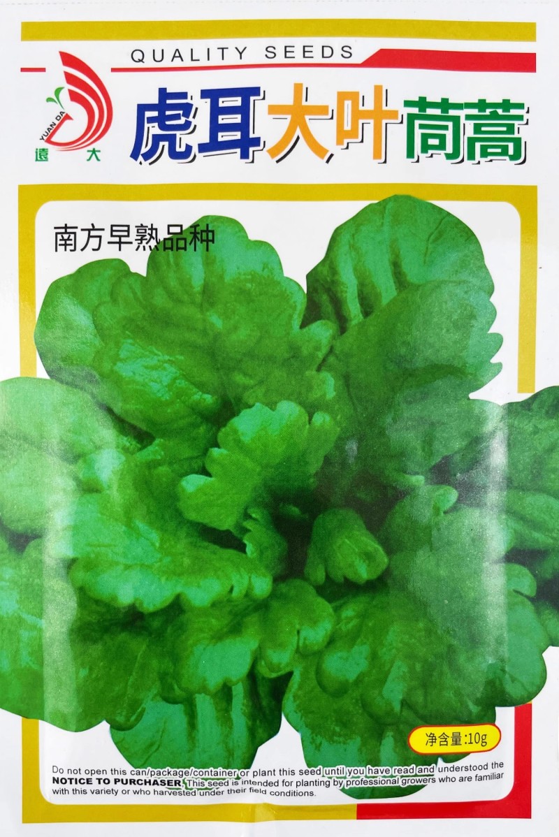 虎耳大叶茼蒿种子生长速度快耐热爽脆味香