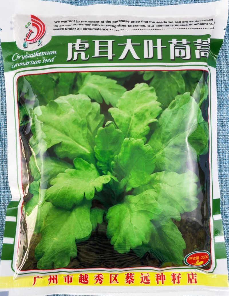 虎耳大叶茼蒿种子生长速度快耐热爽脆味香