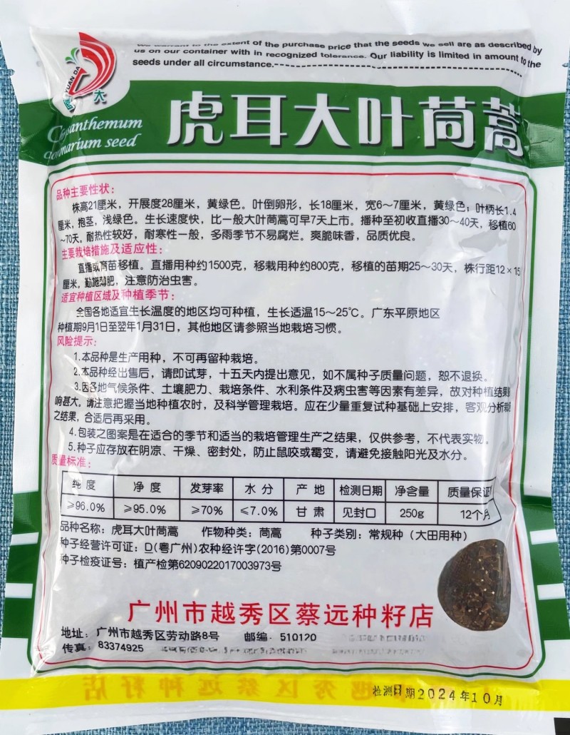 虎耳大叶茼蒿种子生长速度快耐热爽脆味香