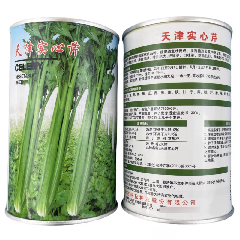 天津实心芹菜种子叶鲜绿色叶柄腹沟深颜色深绿口味浓