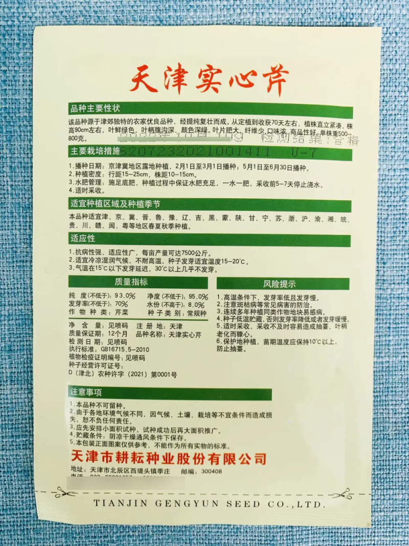 天津实心芹菜种子叶鲜绿色叶柄腹沟深颜色深绿口味浓