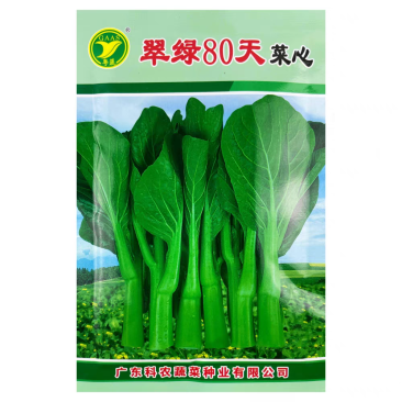 翠绿80天菜心种子椭圆形油绿色菜苔粗壮
