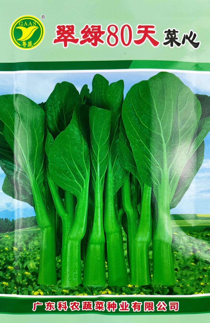 翠绿80天菜心种子椭圆形油绿色菜苔粗壮