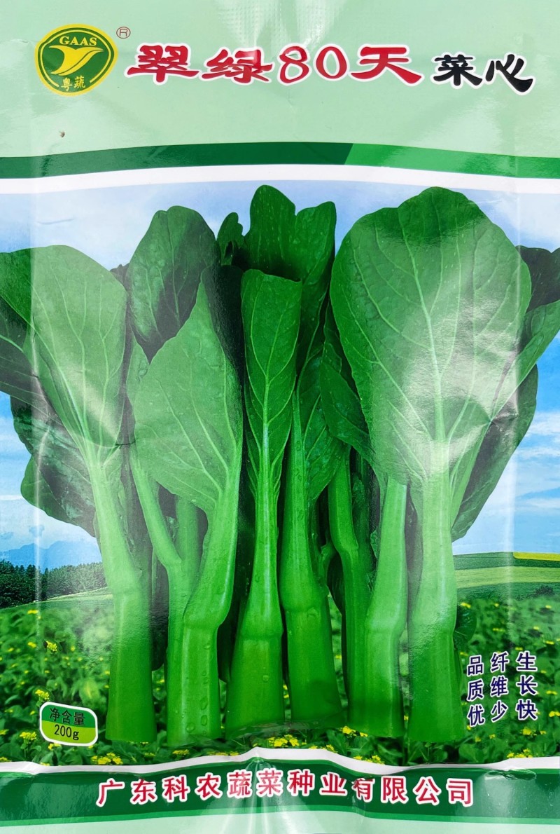 翠绿80天菜心种子椭圆形油绿色菜苔粗壮