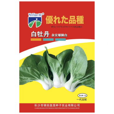 白牡丹杂交矮脚白菜种子束腰性好抗病耐热耐雨水