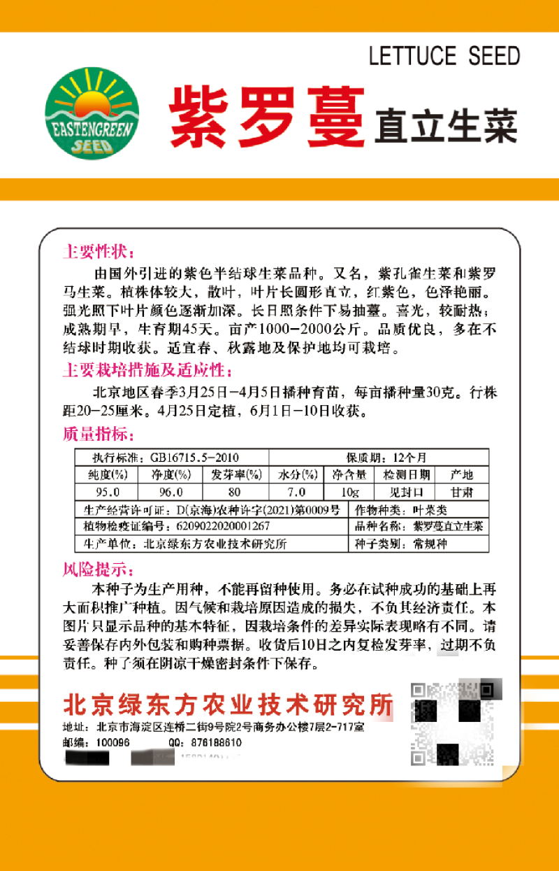 紫罗蔓直立生菜种子紫色半结球生菜种子散叶红紫色