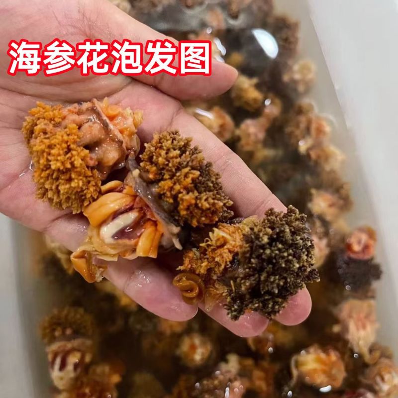 海参花海参花海参花海参花海参花批发