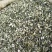 益母草益母草益母草益母草益母草益母草批发