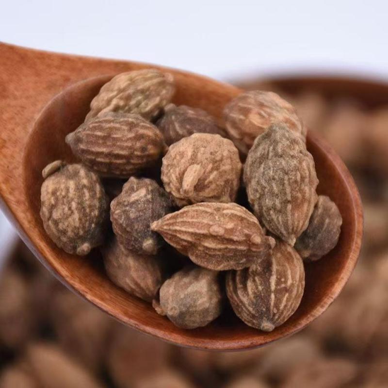 益智仁益智仁益智仁益智仁益智仁益智仁批发