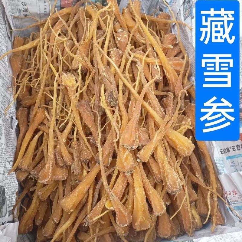 藏雪参藏雪参藏雪参藏雪参藏雪参藏雪参批发