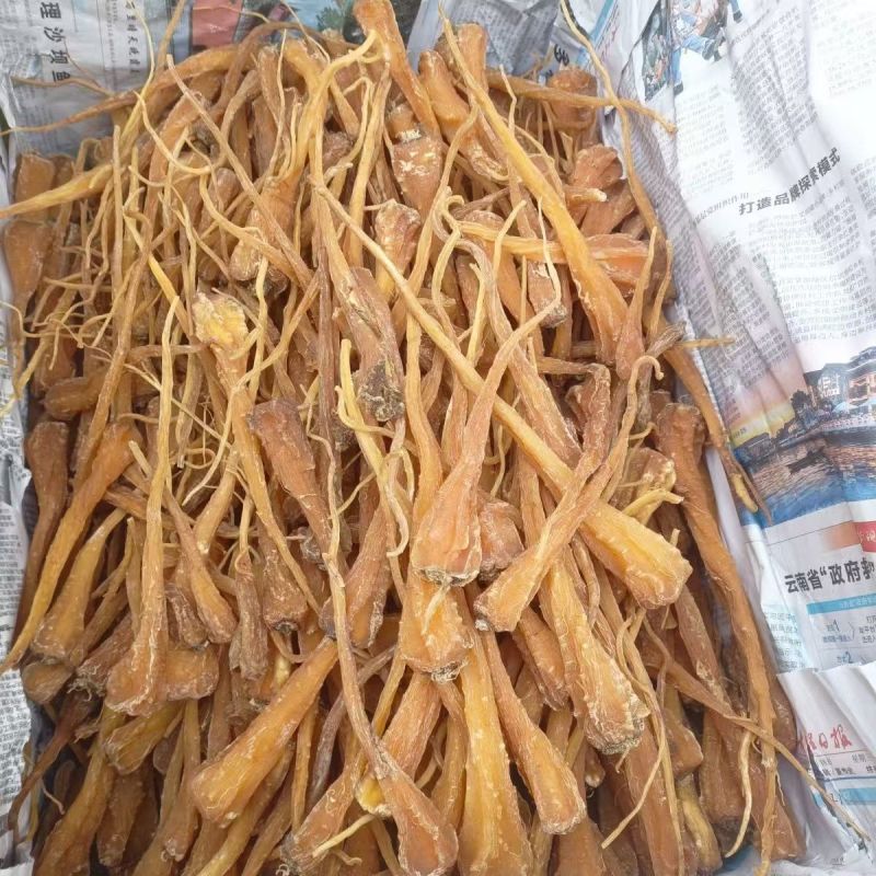 藏雪参藏雪参藏雪参藏雪参藏雪参藏雪参批发