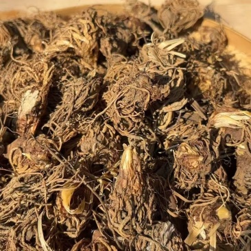 头顶一颗珠头顶一颗珠头顶一颗珠头顶一颗珠批发