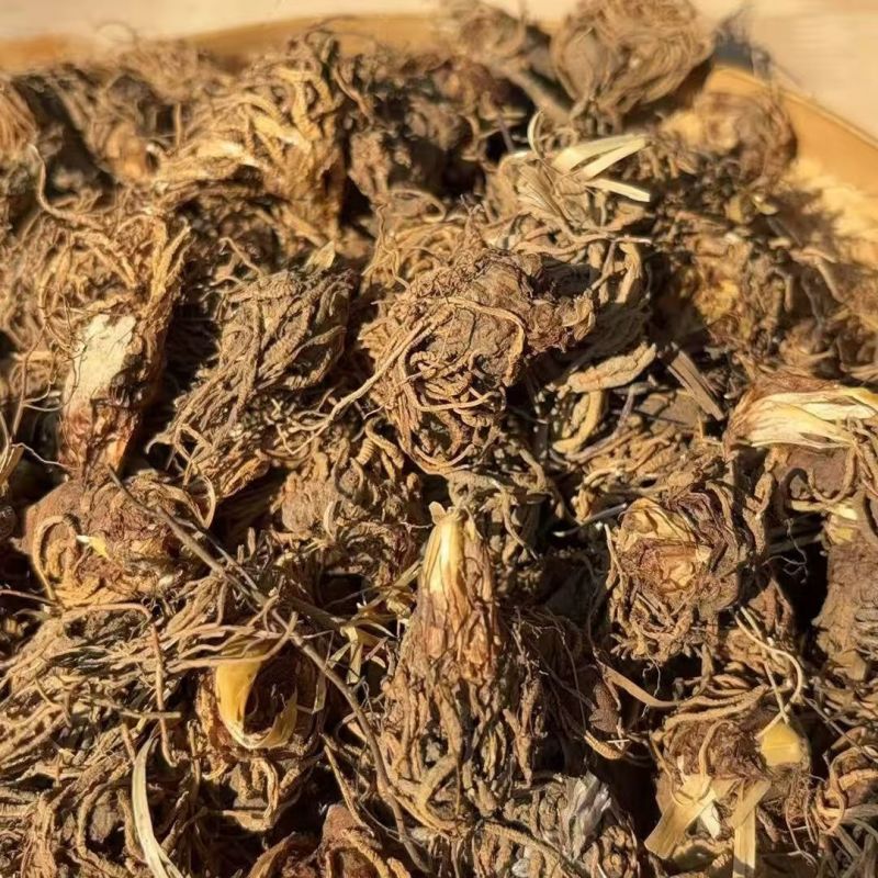 头顶一颗珠头顶一颗珠头顶一颗珠头顶一颗珠批发