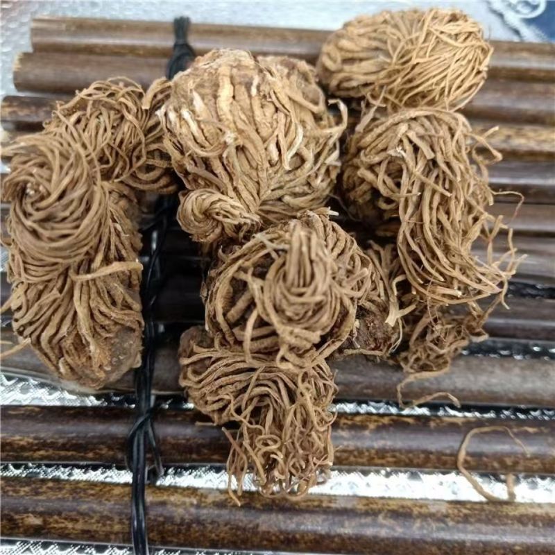 头顶一颗珠头顶一颗珠头顶一颗珠头顶一颗珠批发
