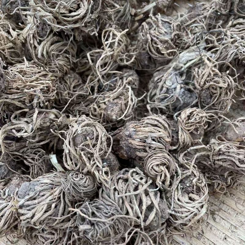 头顶一颗珠头顶一颗珠头顶一颗珠头顶一颗珠批发