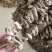 串串天麻串串天麻串串天麻串串天麻批发