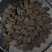 串串天麻串串天麻串串天麻串串天麻批发