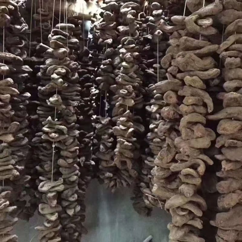串串天麻串串天麻串串天麻串串天麻批发