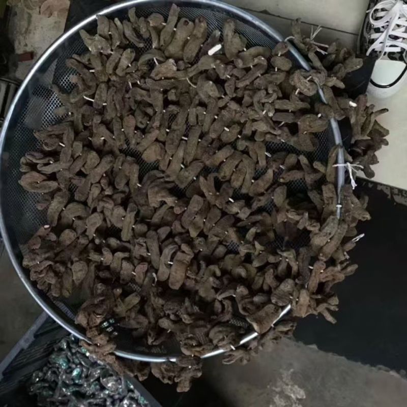 串串天麻串串天麻串串天麻串串天麻批发