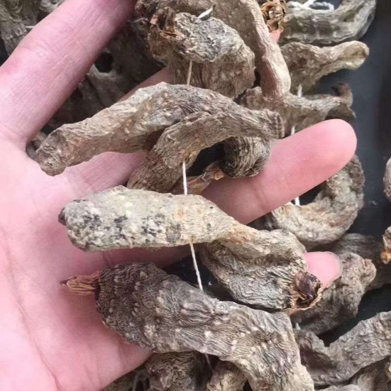 串串天麻串串天麻串串天麻串串天麻批发