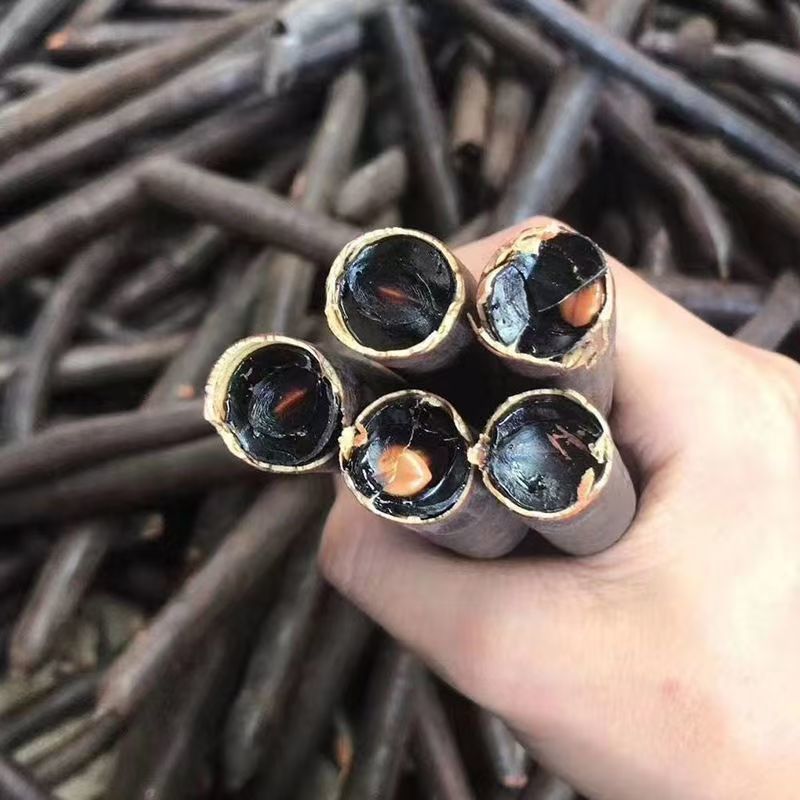 便秘果肉便秘果肉便秘果肉便秘果肉批发