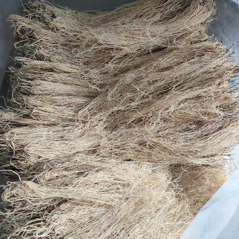 护肝草护肝草护肝草护肝草护肝草护肝草批发