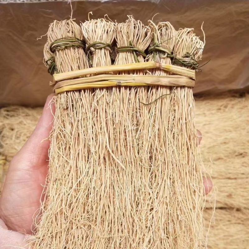 护肝草护肝草护肝草护肝草护肝草护肝草批发