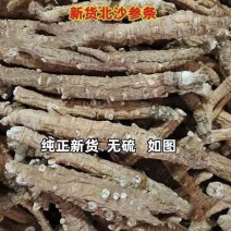 沙参南沙参北沙参沙参南沙参北沙参沙参条批发