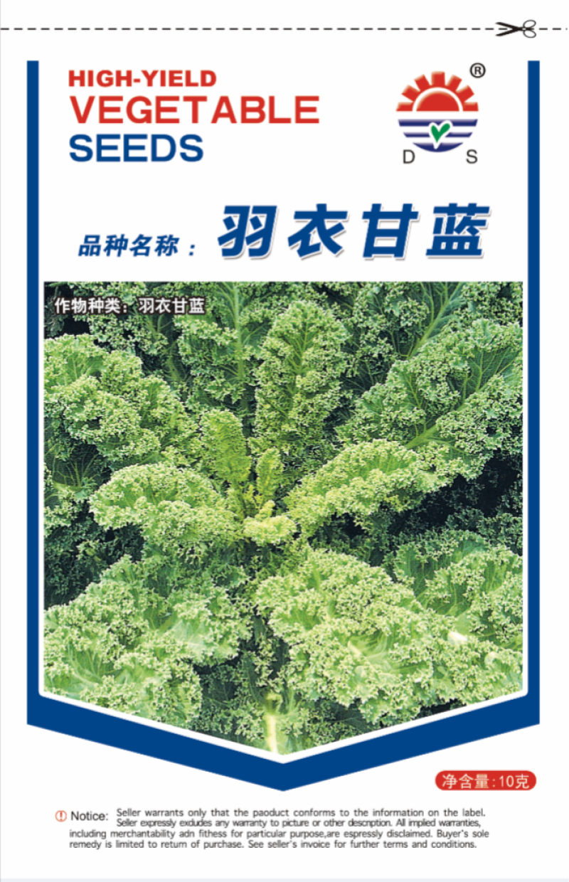 羽衣甘蓝种子荷兰引进品种叶片椭圆较厚羽状深裂