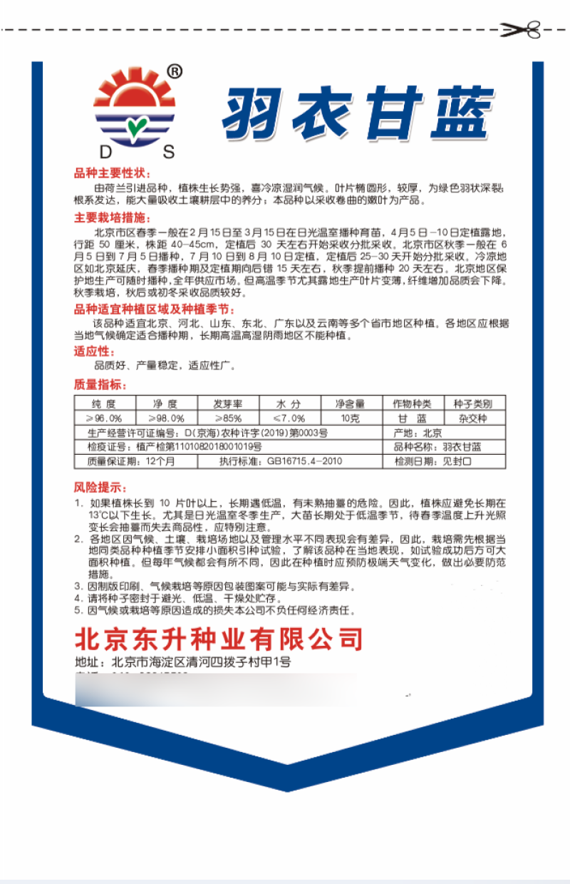 羽衣甘蓝种子荷兰引进品种叶片椭圆较厚羽状深裂