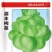 渝丰榨菜种子抗病腌渍用榨菜种子瘤茎扁圆形芥菜籽