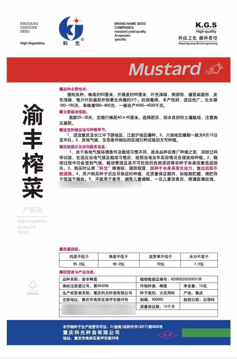 渝丰榨菜种子抗病腌渍用榨菜种子瘤茎扁圆形芥菜籽