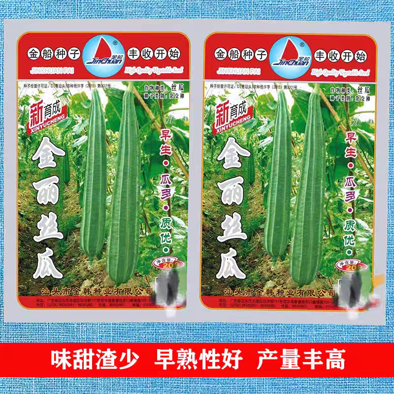 金丽丝瓜种子早熟瓜多皮色翠绿肉质脆嫩味甜化渣