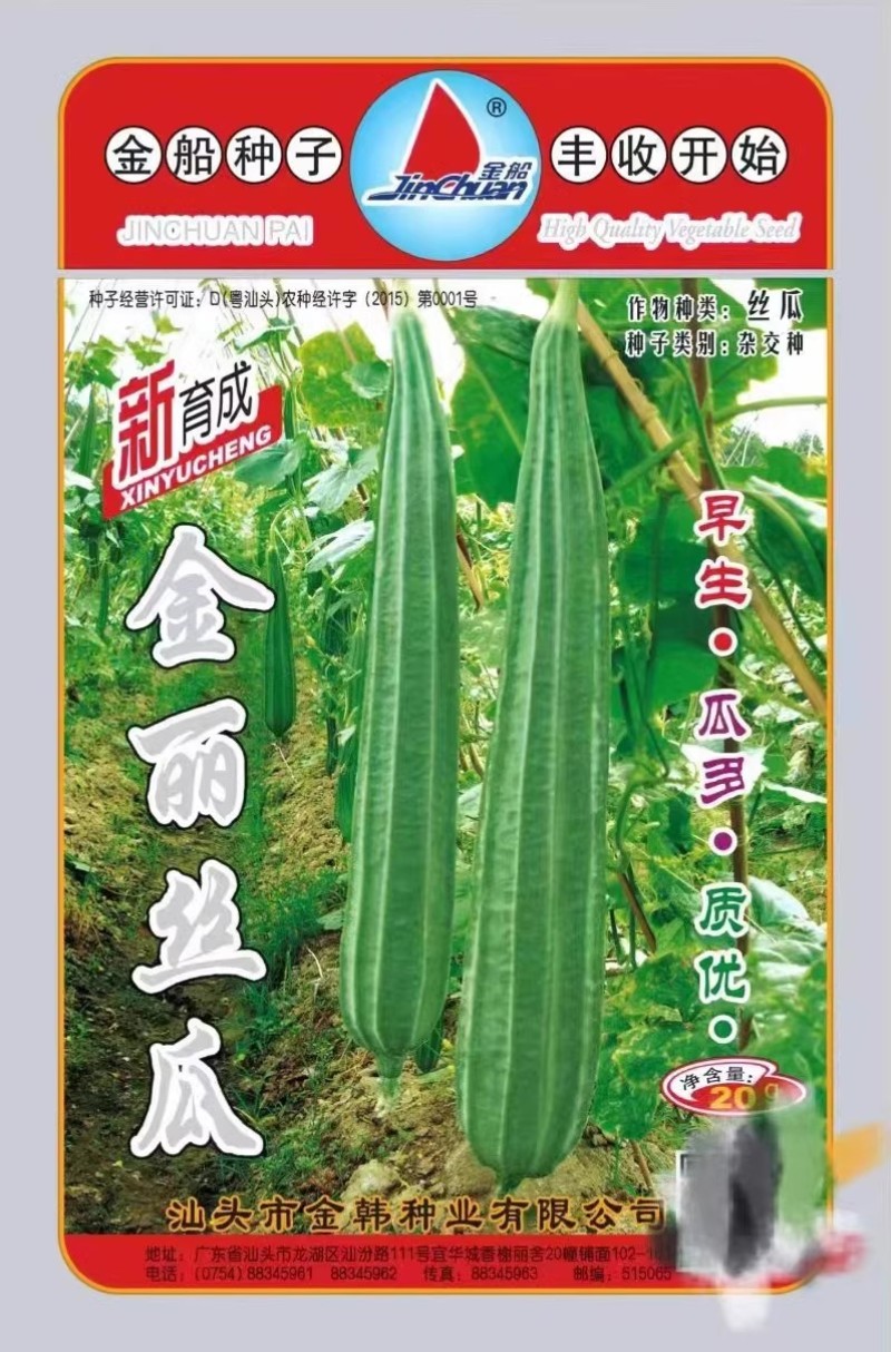 金丽丝瓜种子早熟瓜多皮色翠绿肉质脆嫩味甜化渣