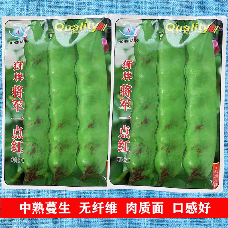 狮牌将军一点红油豆种子中熟蔓生肉质面口感好