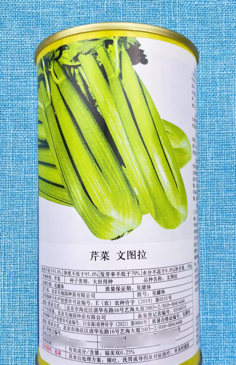 文图拉芹菜种子叶柄浅绿叶绿色植株紧凑
