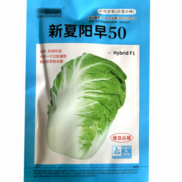 白菜种子新夏阳早50天早熟夏季种植耐热结球紧实夏季栽培