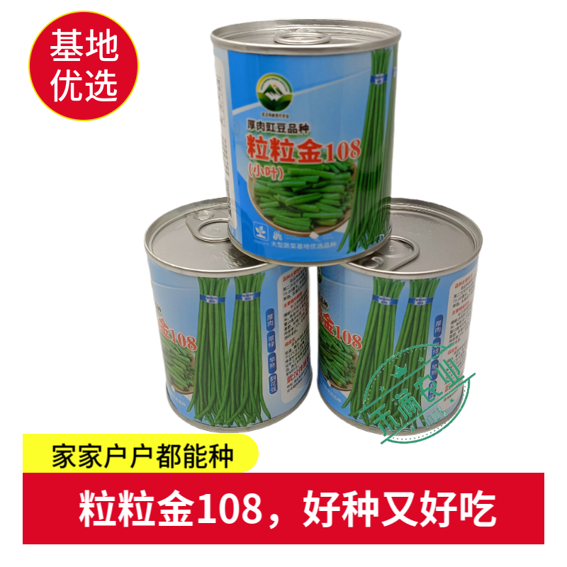 特长豆角种子高产早熟长豇豆种子白豆角种籽菜园大田春秋播蔬