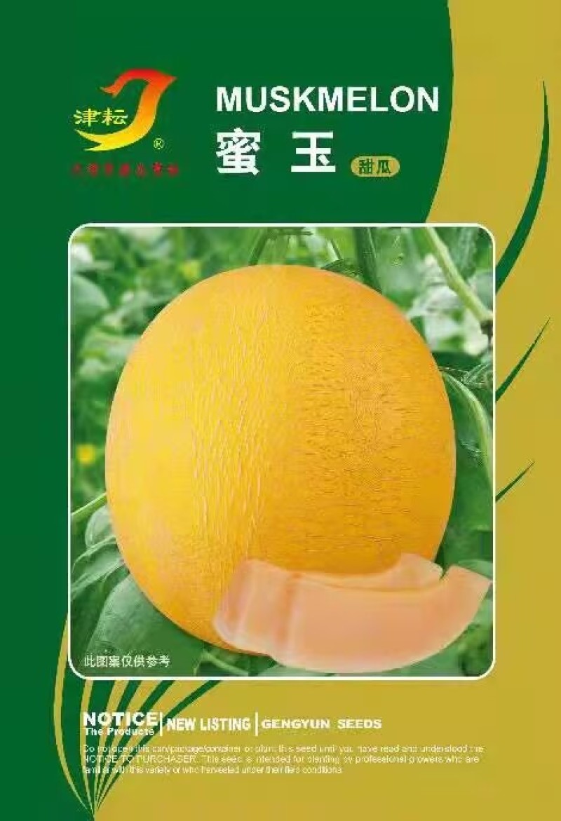蜜玉甜瓜种子酥脆爽口香味浓郁单瓜重1公斤左右