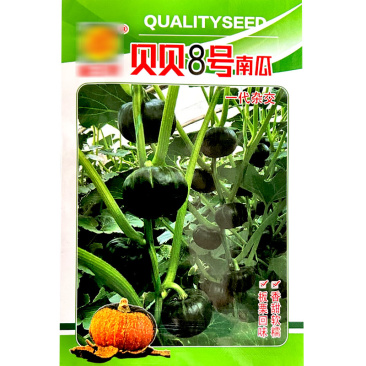 贝贝瓜种子早熟蔓生型果圆形果肉鲜黄色基地品种