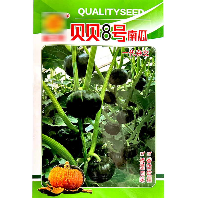 贝贝瓜种子早熟蔓生型果圆形果肉鲜黄色基地品种