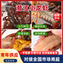 湖北清水活虾冻虾，高品质液氮冷冻，适合做卤虾，口味虾