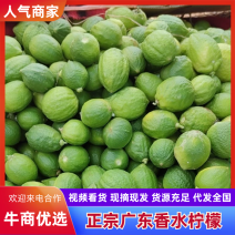正宗广东香水柠檬无籽超靓超香四季果货源稳定价格优惠