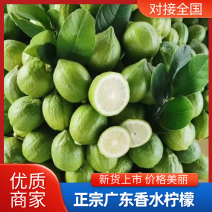 广东香水柠檬正宗无籽广东香水柠檬正宗无籽