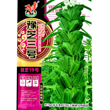 豫芝三号芝麻菜种子白芝麻种籽孑农家早熟四季蔬菜种子