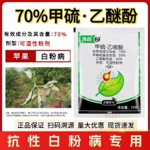 洗白70%甲硫乙嘧酚苹果白粉病黄瓜甜瓜白粉病果树蔬菜杀