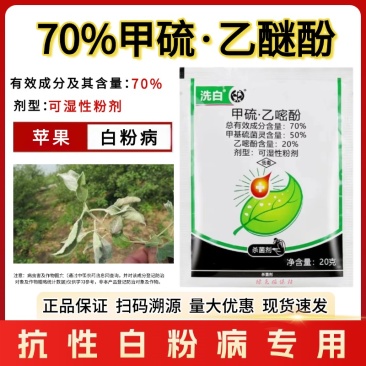 洗白70%甲硫乙嘧酚苹果白粉病黄瓜甜瓜白粉病果树蔬菜杀