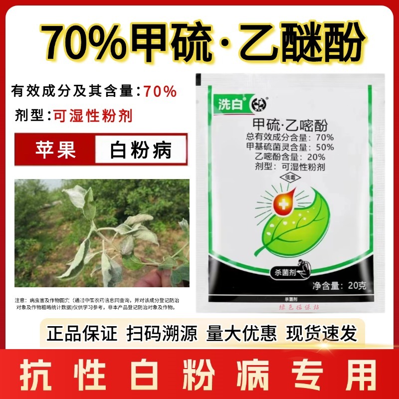 洗白70%甲硫乙嘧酚苹果白粉病黄瓜甜瓜白粉病果树蔬菜杀